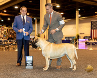Mastiff #22 Sun BOW Maj Judge Eric J Ringle