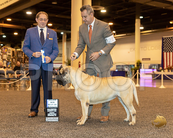 Mastiff #22 Sun BOW Maj Judge Eric J Ringle_JJJ_8579-Hstn2019-HR3