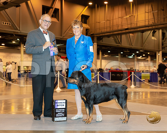 Rottweiler #10 Sun WB Maj Judge Luis Sosa__ST_6726-Hstn2019-HR3