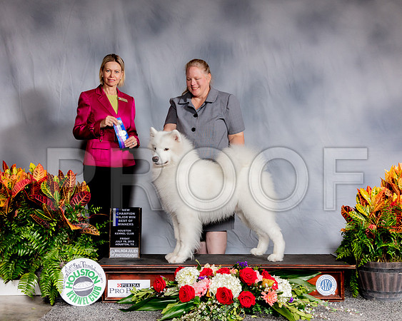 Samoyed #25 Fri BOW Judge Patricia Sosa_SSR_3894_Hstn2019_HR3