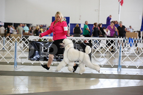_JN_5227-DalJul2014-HR3