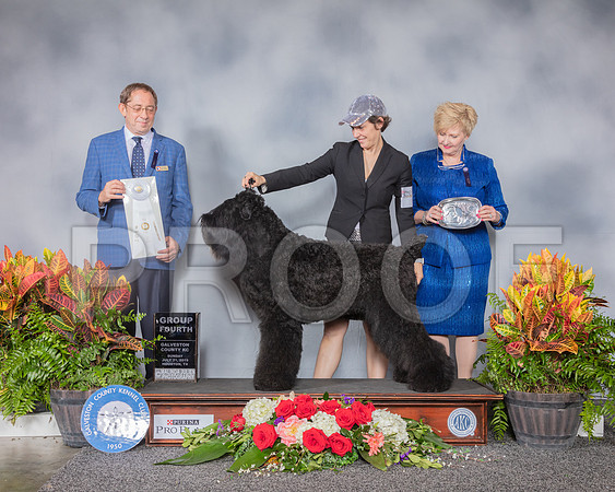 Black Russian Terrier #6 Sun G4 Judge Eric Ringle_SSR_5379_Hstn2019_HR3