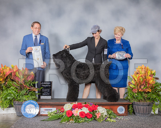 Black Russian Terrier #6 Sun G4 Judge Eric Ringle_SSR_5380_Hstn2019_HR3