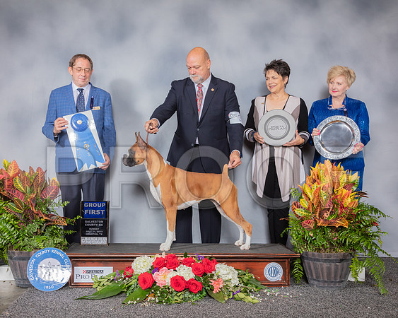 Boxer #32 Sun G1 Judge Eric Ringle_SSR_5369_Hstn2019_HR3