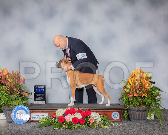 Boxer #32 Sun G1 Judge Eric Ringle_SSR_5368_Hstn2019_HR3