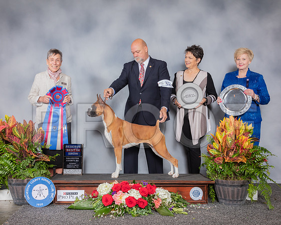 Boxer #32 Sun RBIS Judge Gay Dunlap_SSR_5474_Hstn2019_HR3
