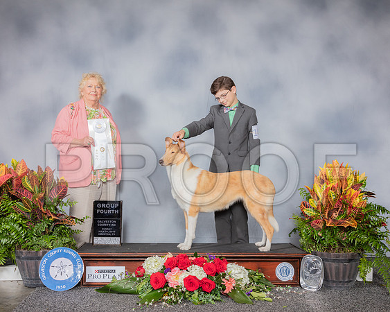 Collie Smooth #10 Sun G4 Judge Carol White Moser_SSR_5437_Hstn2019_HR3