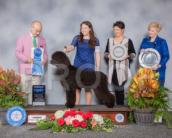 Irish Water Spaniel #5 Sun G1 Judge Butch Schulman_SSR_5344_Hstn2019_HR3