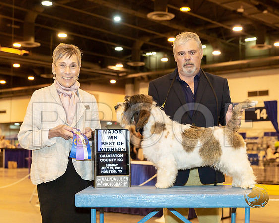 PBGV #6 Sun BOW Maj Judge Gay Dunlap_JJJ_8605-Hstn2019-HR3