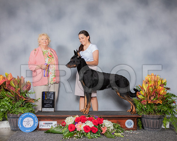 Beauceron #5 Sun BOB NC Judge Carol White Moser_SSR_5457_Hstn2019_HR3