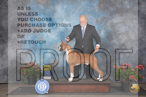 Boxer #11 Sat G3 Judge Paul F Willhauck__JP_5263_San Antonio_2024_HR3