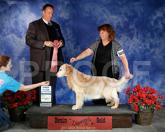 SweepsVet-6301-WFOct2013-HR