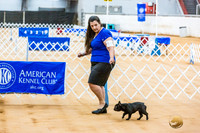 French Bulldog #46 Rings