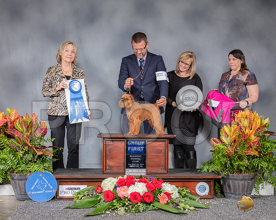 Brussels Griffon #9 Sat G1 Judge Helen Stein-SSR_4632-HR3
