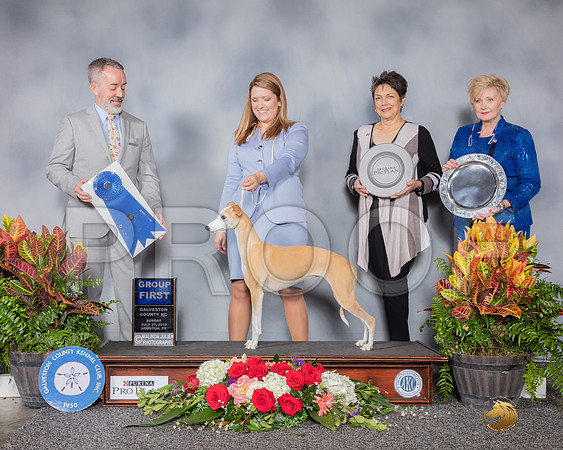 Whippet #32 Sun G1 Judge Jim Owens-SSR_5301-HR3