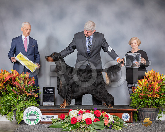 Gordon Setter #11 Fri G3 Judge Robert Vandiver-SSR_4074-HR3