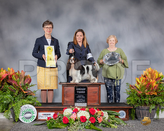 English Toy #5 Thurs G3 Judge Rosalind Kramer-SSR_3340-HR3