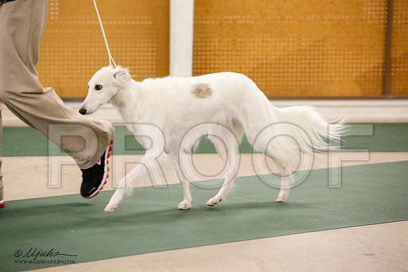 _JN_0266-NrmnNov2014-HR3