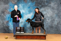 Chrystal Carlton Glen Rose 2024