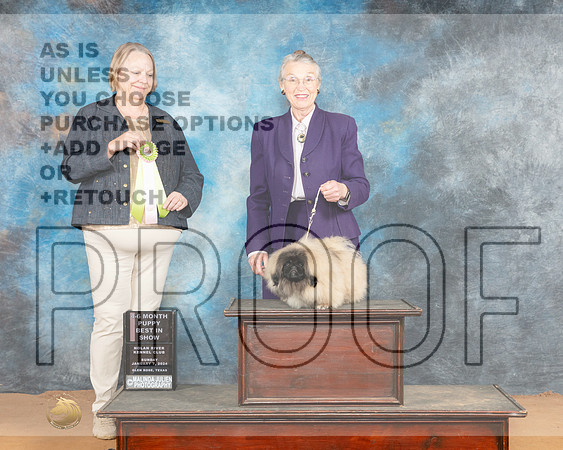 Pekingese #9 Sun 4to6BIS Judge Robin Casey_JP_1316_Glen Rose 2024-HR3