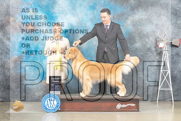 Golden Retriever #17 Sat G3 Judge Jill Warren_MJ_4649_Amarillo_2022_HR3
