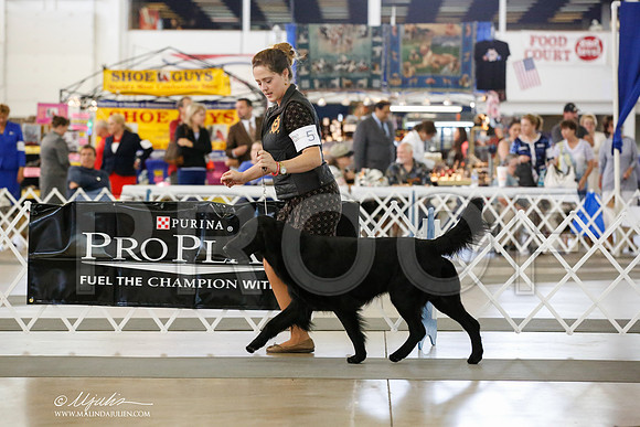 _JN_3025-DallasJul2014-HR3