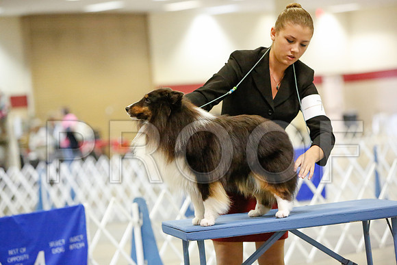 _JN_4345-AmarilloSept2014-HR3