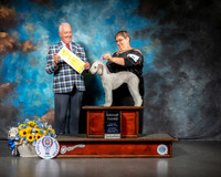 Bedlington Terrier #8 G3 Sat Judge Dr Steve Keating
