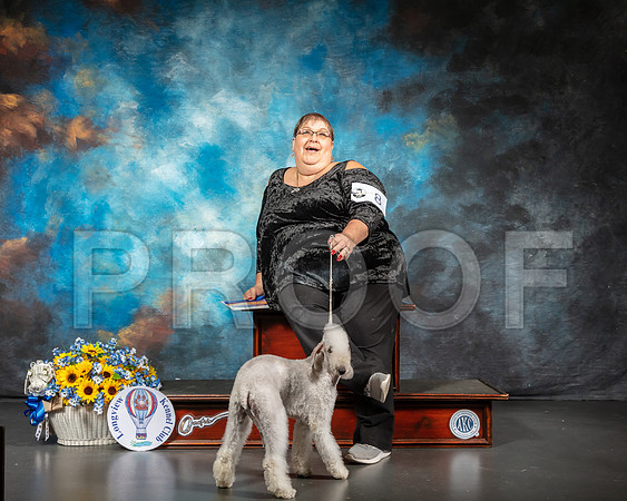 Bedlington Terrier Sat Fun-SSR_5648-Lngvw2019-HR3
