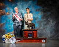 French Bulldog #30 Sat G2 Judge Dr Steve Keating