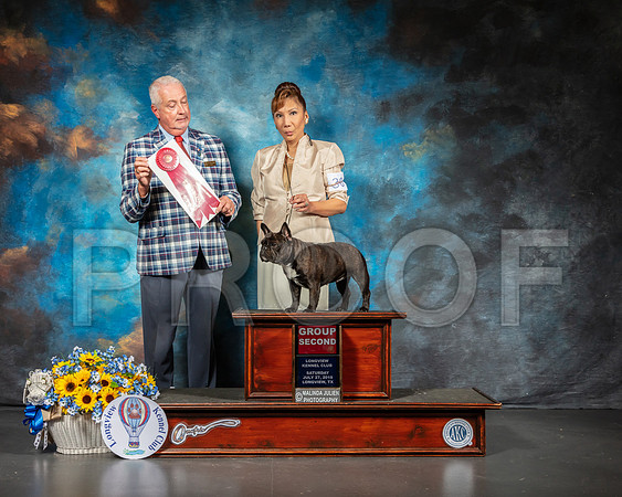 French Bulldog #30 Sat G2 Judge Dr Steve Keating-SSR_5691-Lngvw2019-HR3