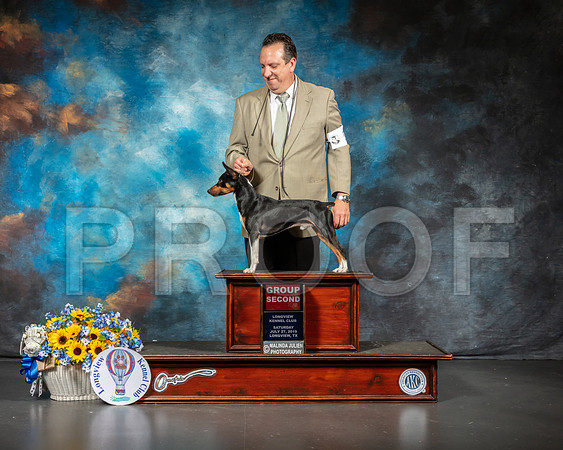 Rat Terrier #4 Sat G2 Judge Dr Steve Keating-SSR_5675-Lngvw2019-HR3