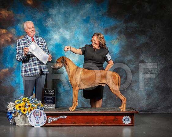 Rhodesian Ridgeback #11 Sat G4 Judge Dr Steve Keating-SSR_5698-Lngvw2019-HR3