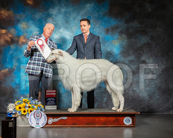 Borzoi #5 Sat G2 Judge Dr Steve Keating-SSR_5773-Lngvw2019-HR3