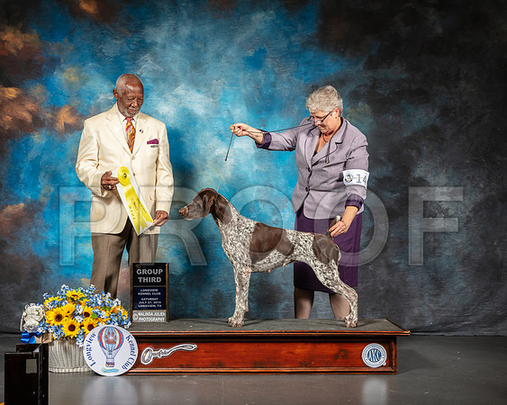 German Shorthaired Pointer #14 Sat Judge Eugene Blake-SSR_5765-Lngvw2019-HR3