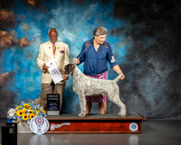 German Wirehaired Pointer #5 Sat G4 Judge Eugene Blake