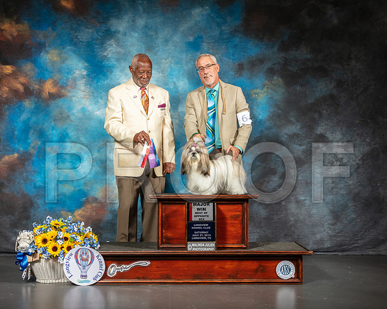 Lhasa Apso #6 Sat BOS Maj Judge Eugene Blake-SSR_5730-Lngvw2019-HR3