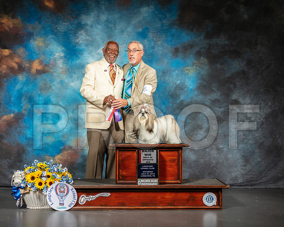 Lhasa Apso #6 Sat BOS Maj Judge Eugene Blake-SSR_5731-Lngvw2019-HR3