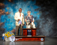 Lhasa Apso #9 Sat BOW Maj Judge Eugene Blake