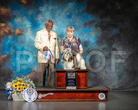 Lhasa Apso #9 Sat BOW Maj Judge Eugene Blake-SSR_5759-Lngvw2019-HR3