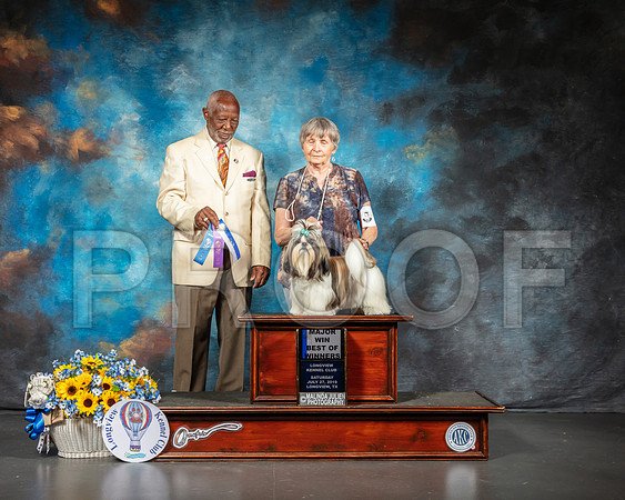 Lhasa Apso #9 Sat BOW Maj Judge Eugene Blake-SSR_5760-Lngvw2019-HR3