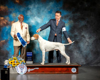 Pointer #5 Sat G1 Judge Eugene Blake