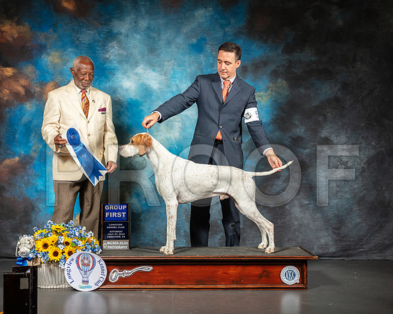 Pointer #5 Sat G1 Judge Eugene Blake-SSR_5762-Lngvw2019-HR3