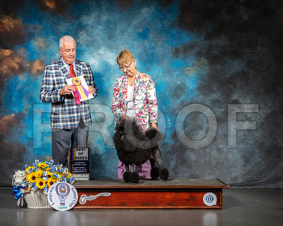 Poodle Miniature #6 Sat BOB Judge Dr Steve Keating-SSR_5712-Lngvw2019-HR3