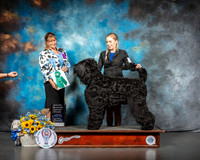 Black Russian Terrier #5 OHG3 Judge Gina Box Young