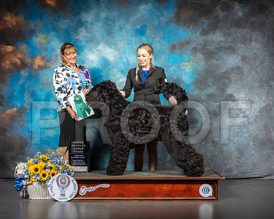 Black Russian Terrier #5 OHG3 Judge Gina Box Young-SSR_5800-Lngvw2019-HR3