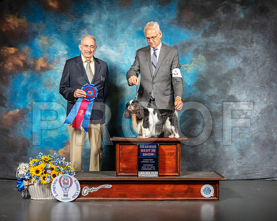 English Toy #5 Sat RBIS Judge Joe Walton-SSR_5831-Lngvw2019-HR3