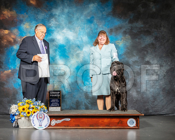 Neopolitan Mastiff #8 Sat G4 Judge John Wade-SSR_5786-Lngvw2019-HR3