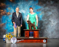 Poodle Toy #8 Sat BOS Judge Joe Walton