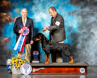 Rottweiler #6 Sat BIS Judge Joe Walton
